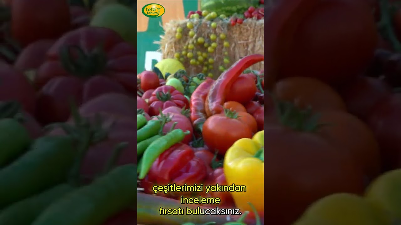 Teta Tohumculuk olarak, 11. Şanlıurfa Gıda, Tarım ve Hayvancılık Fuarı’nda Yerimizi Alıyoruz  #tarım