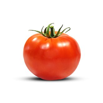 Tomato Seed