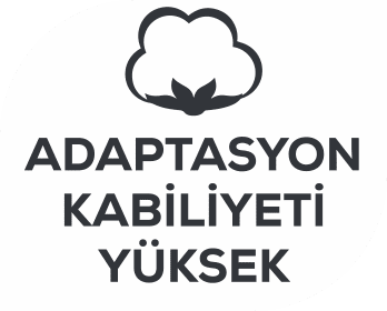 adaptasyon kabiliyeti-yüksek