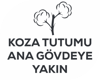 koza-tutumu-ana-gövdeye-yakın