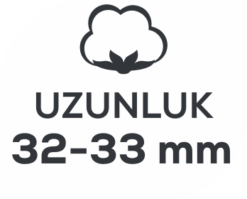 uzunluk