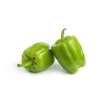 P-1853 F1, hibrit dolma biberi tohumu