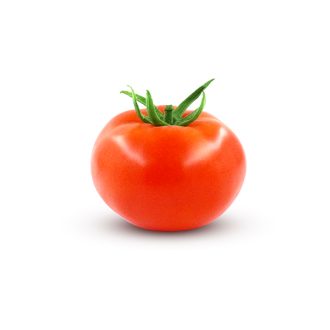 Tomato seed