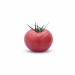 Aybuke F1 Pembe-Pink Domates