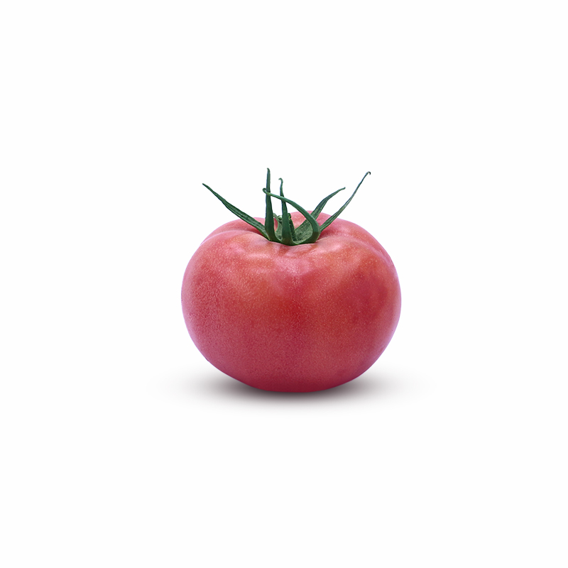 Aybuke F1 Pembe-Pink Domates Aybuke F1 Pembe-Pink Domates